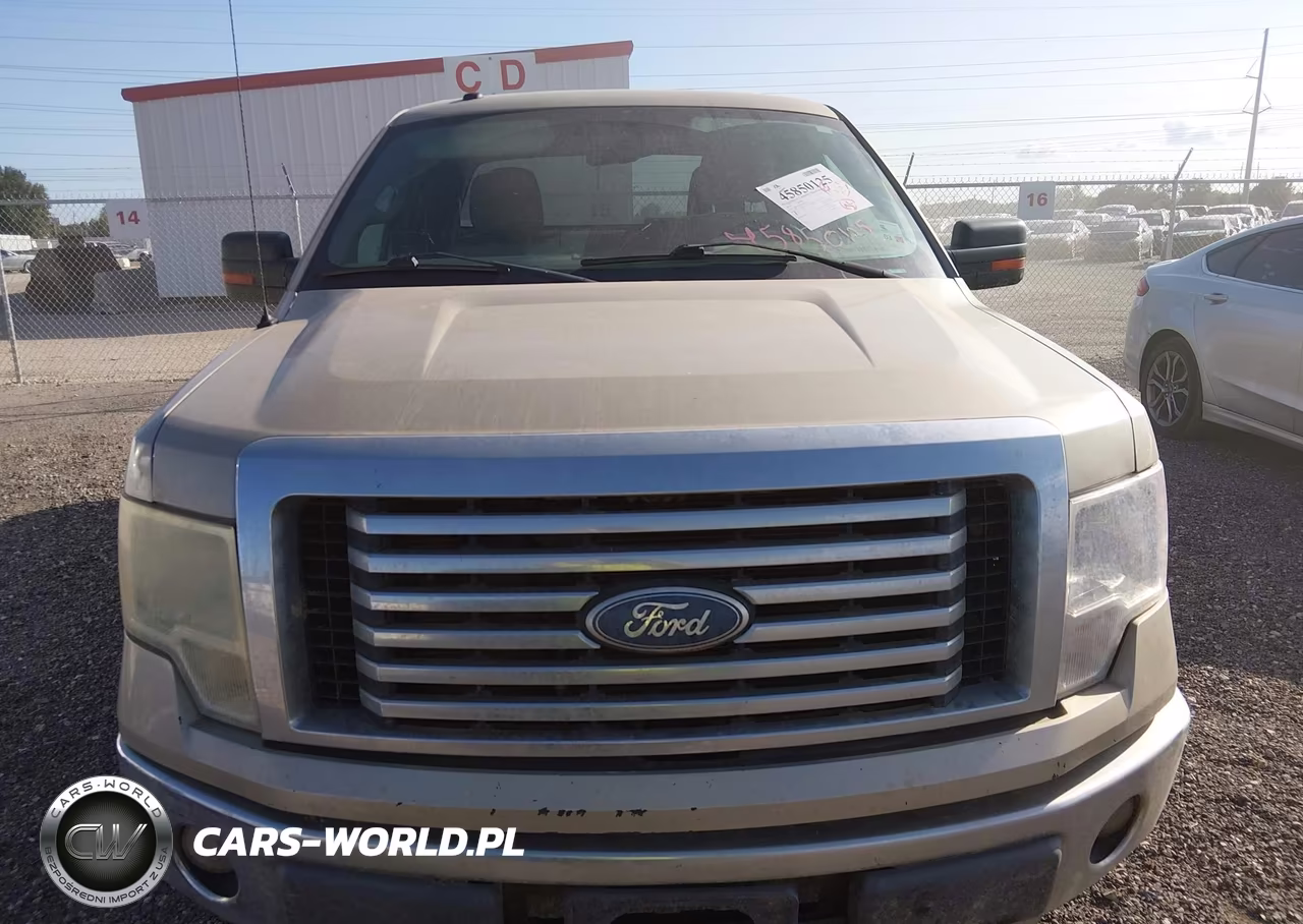 2010 Ford F-150 Fx4-Lariat-Xl-Xlt VIN:1FTFX1EV6AFD50778 - 12