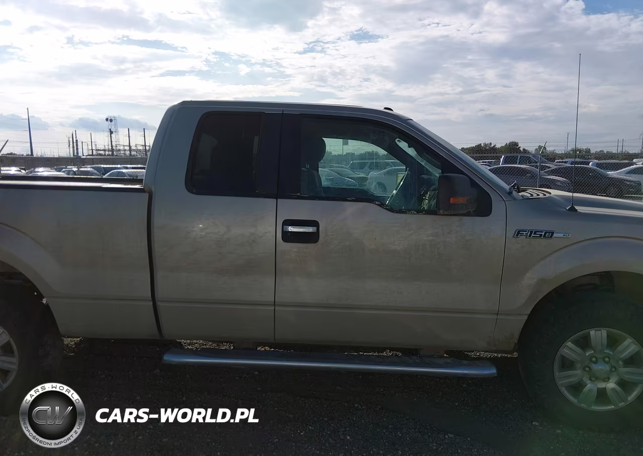 2010 Ford F-150 Fx4-Lariat-Xl-Xlt VIN:1FTFX1EV6AFD50778 - 13
