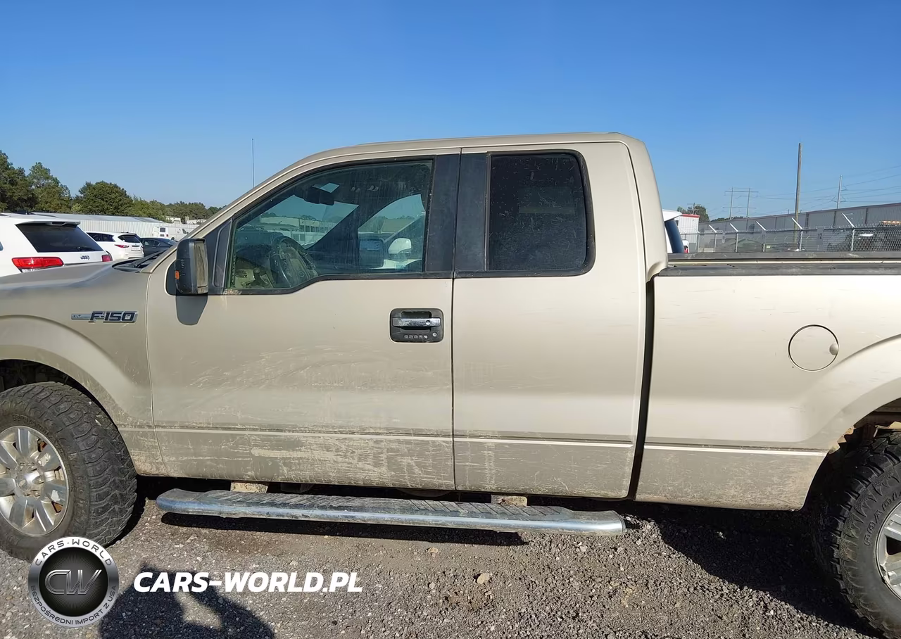 2010 Ford F-150 Fx4-Lariat-Xl-Xlt VIN:1FTFX1EV6AFD50778 - 14