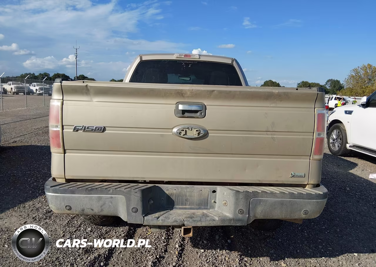 2010 Ford F-150 Fx4-Lariat-Xl-Xlt VIN:1FTFX1EV6AFD50778 - 16