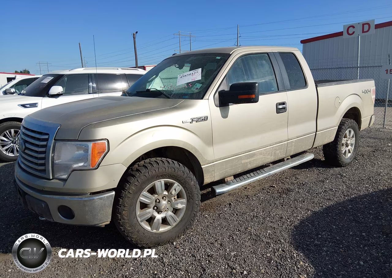 2010 Ford F-150 Fx4-Lariat-Xl-Xlt VIN:1FTFX1EV6AFD50778 - 2