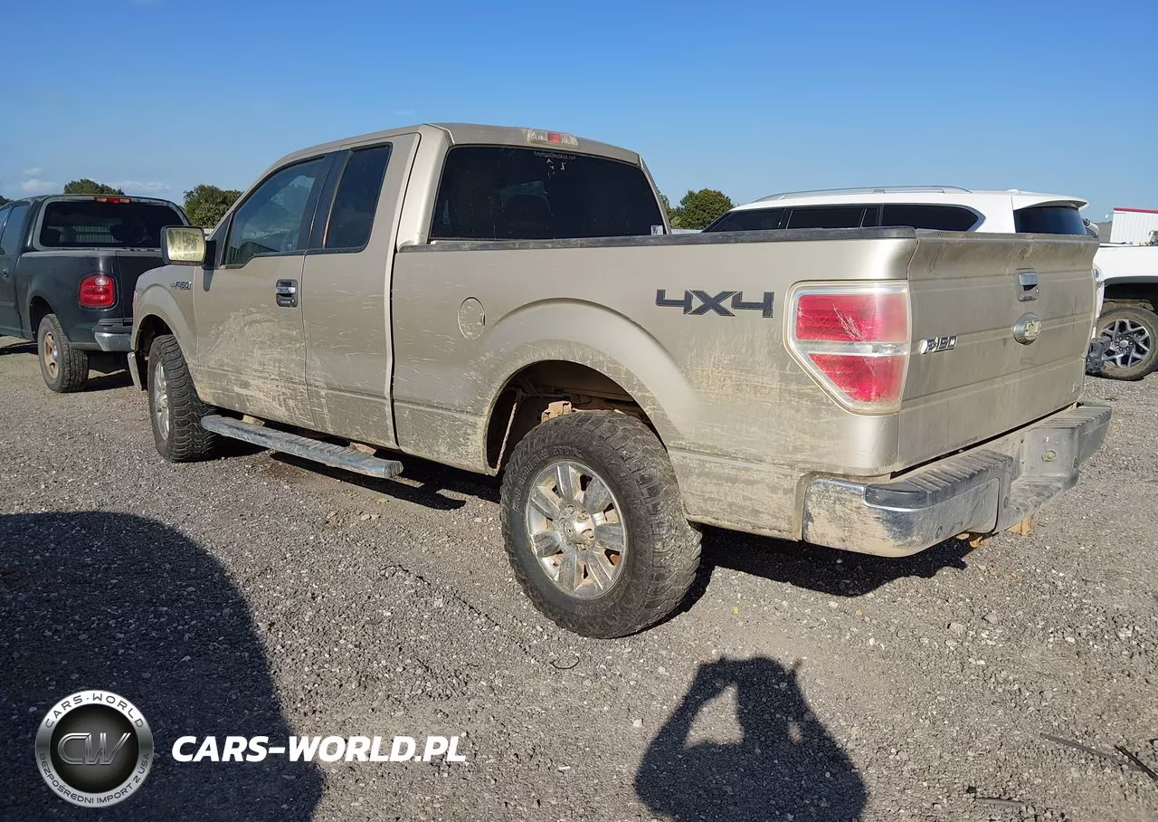 2010 Ford F-150 Fx4-Lariat-Xl-Xlt VIN:1FTFX1EV6AFD50778 - 3