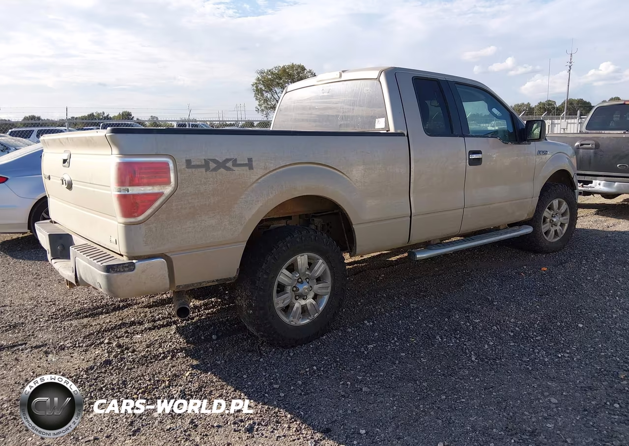 2010 Ford F-150 Fx4-Lariat-Xl-Xlt VIN:1FTFX1EV6AFD50778 - 4