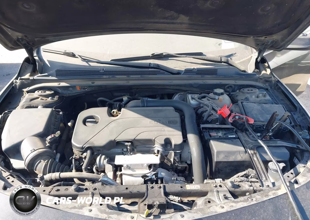 2019 Chevrolet Malibu Lt VIN:1G1ZD5ST6KF191173 - 10
