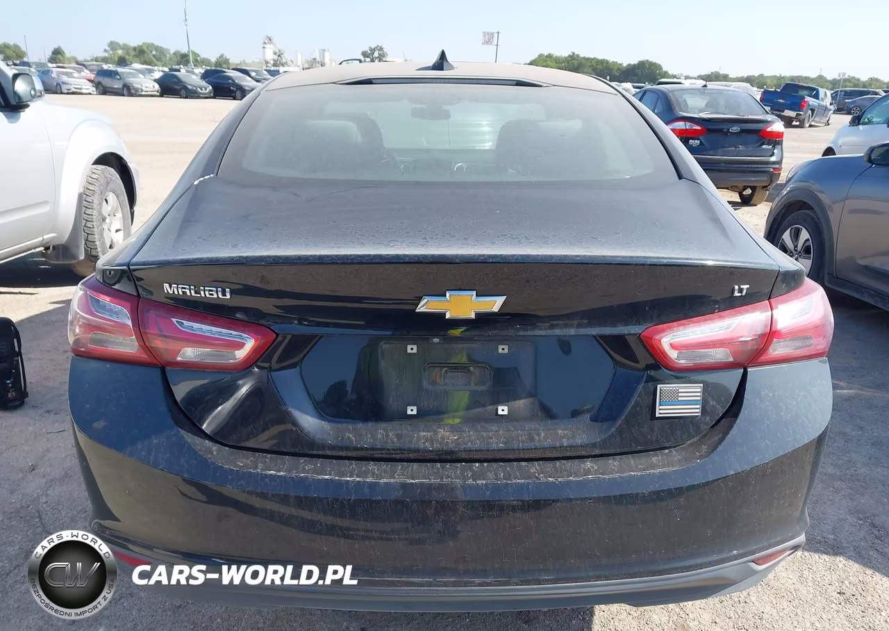 2019 Chevrolet Malibu Lt VIN:1G1ZD5ST6KF191173 - 16