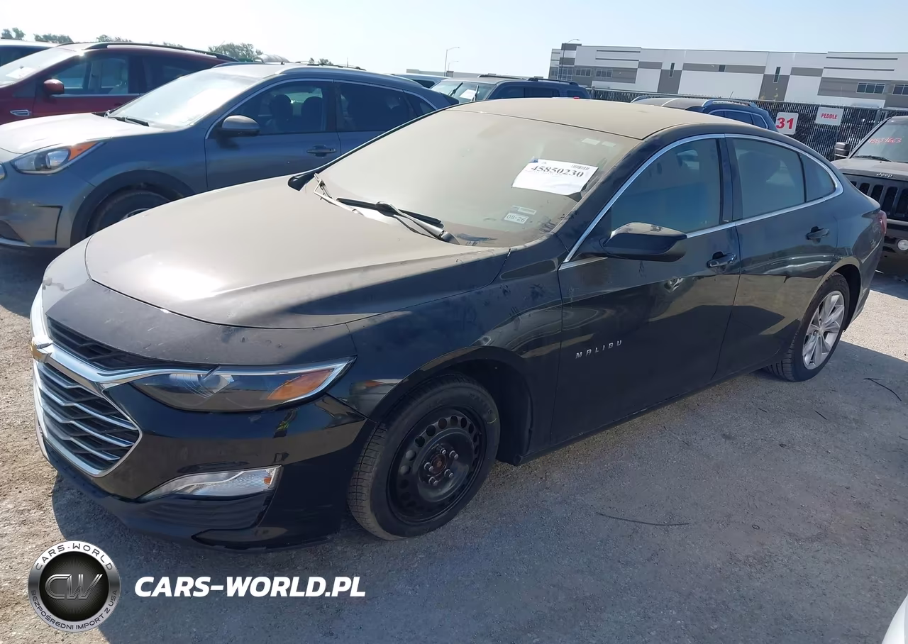 2019 Chevrolet Malibu Lt VIN:1G1ZD5ST6KF191173 - 2