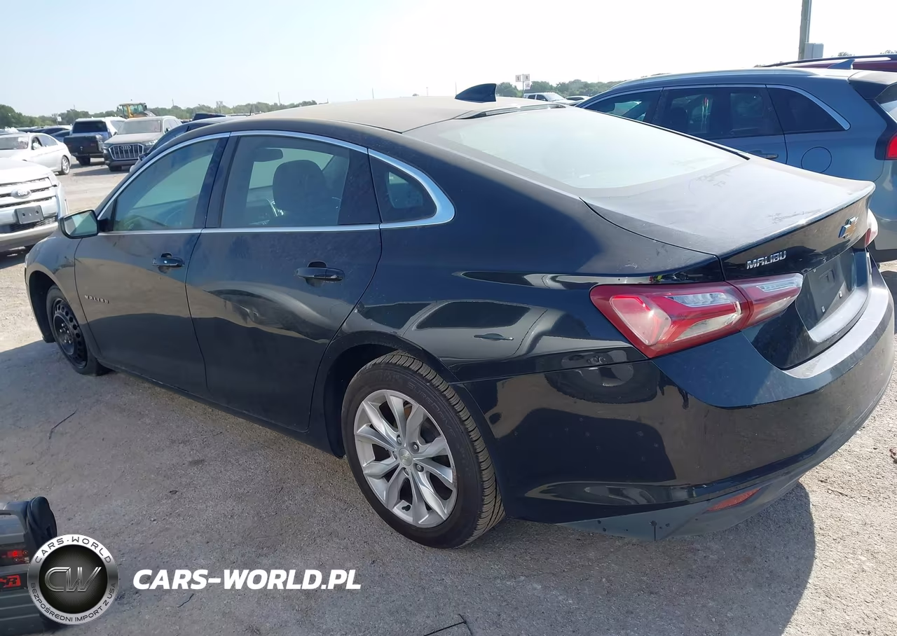 2019 Chevrolet Malibu Lt VIN:1G1ZD5ST6KF191173 - 3