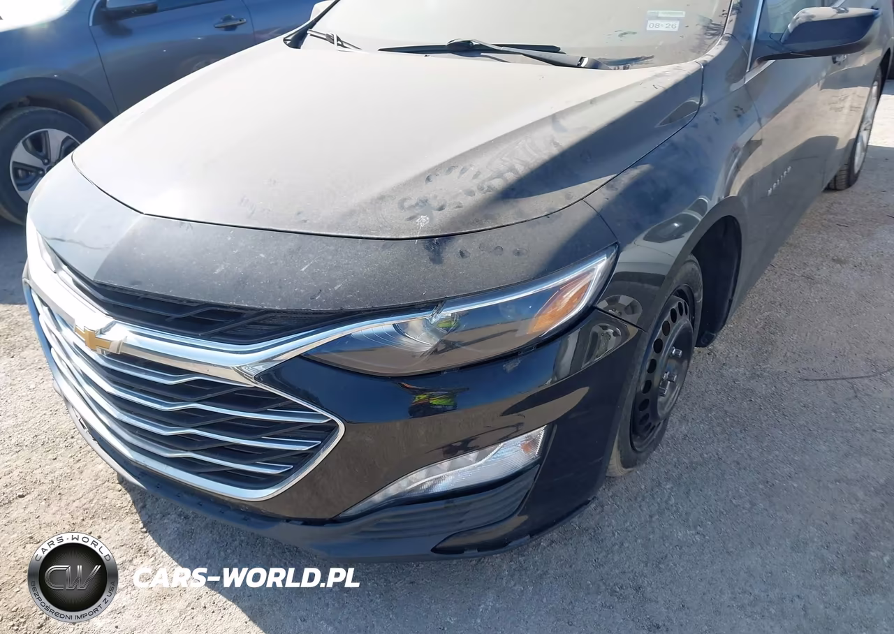 2019 Chevrolet Malibu Lt VIN:1G1ZD5ST6KF191173 - 6