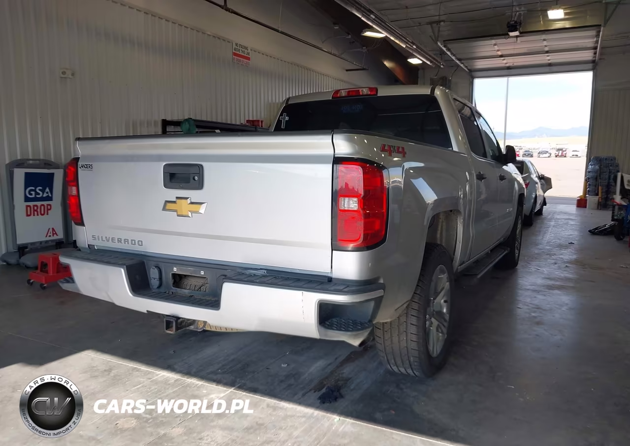 2018 Chevrolet Silverado 1500 Custom VIN:3GCUKPEC3JG608132 - 4