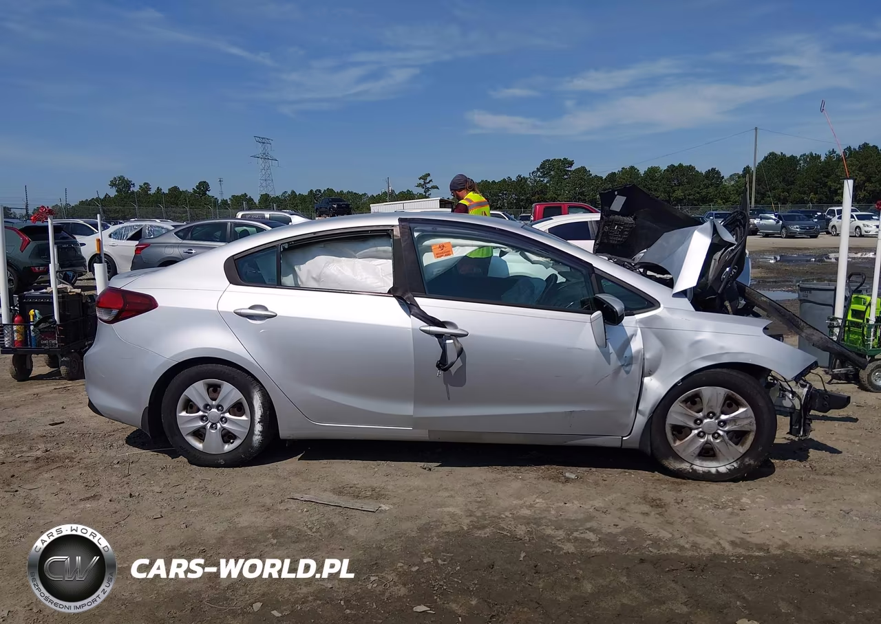 2018 Kia Forte Lx VIN:3KPFK4A73JE271022 - 13