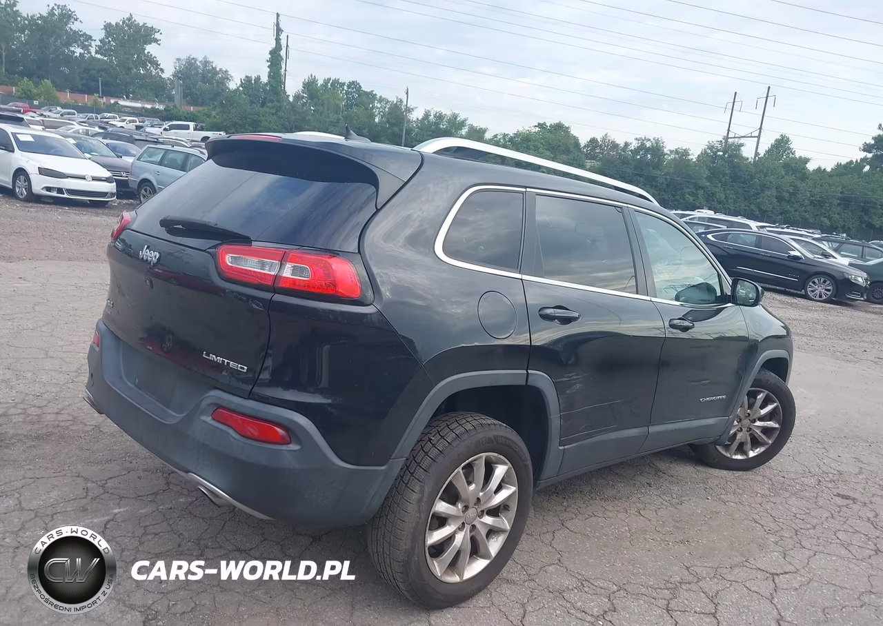 2014 Jeep Cherokee Limited VIN:1C4PJMDS0EW210780 - 4