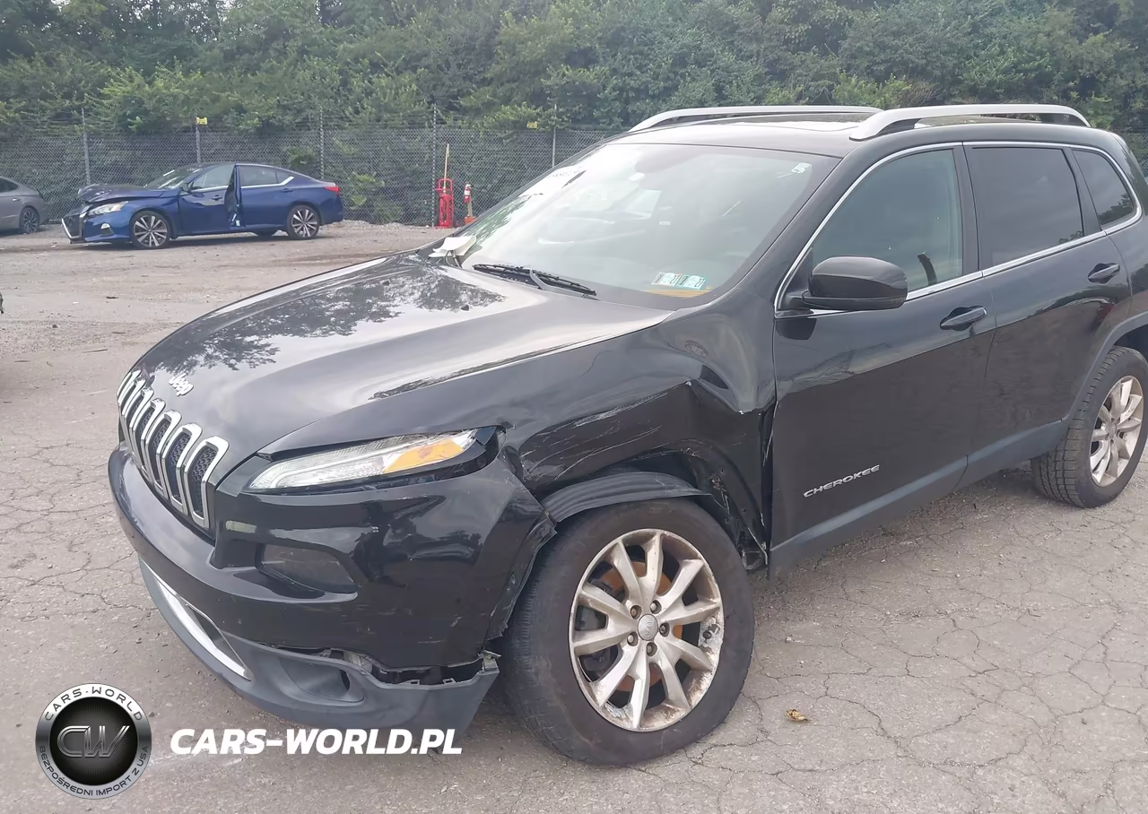 2014 Jeep Cherokee Limited VIN:1C4PJMDS0EW210780 - 6
