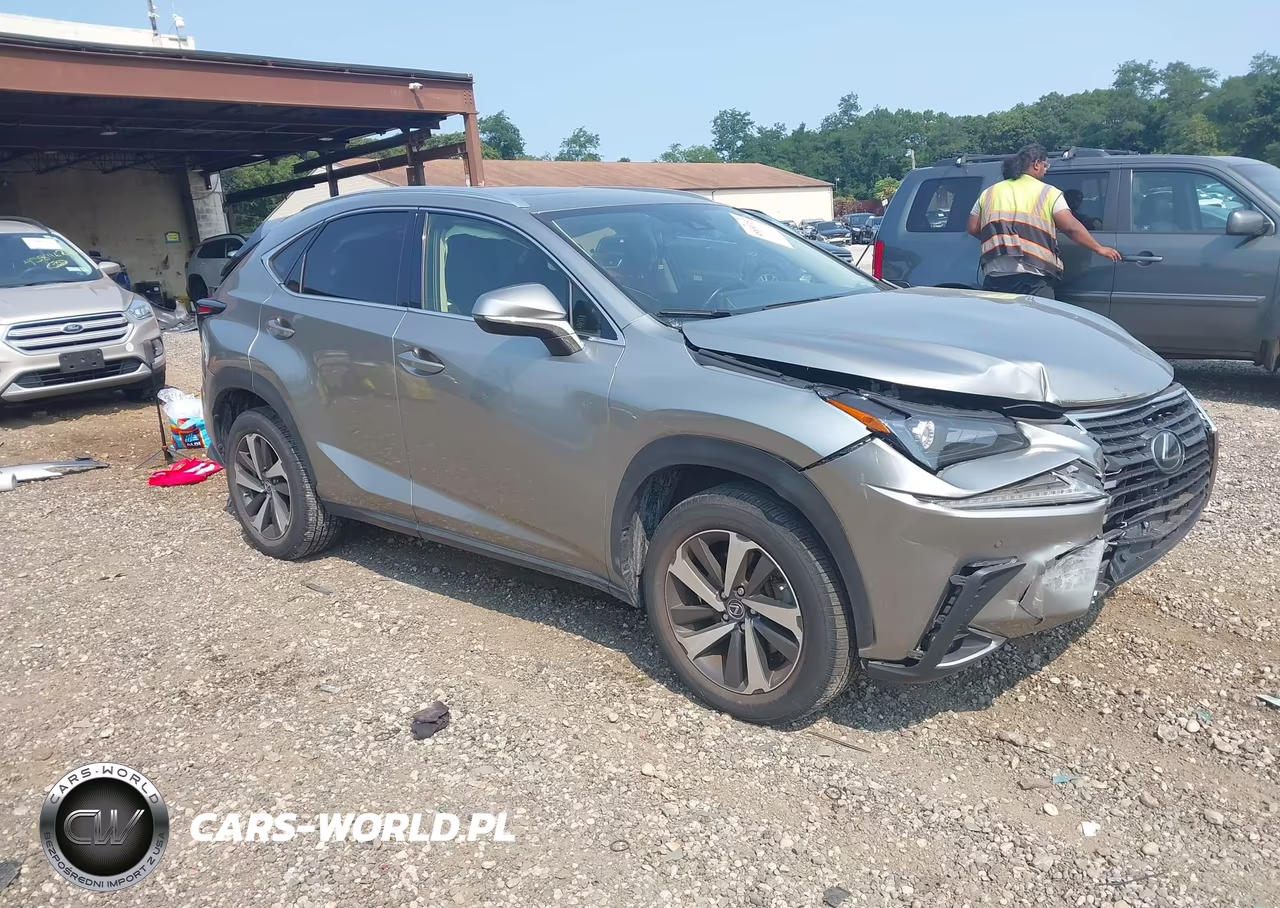 2021 Lexus Nx 300 VIN:JTJGARDZ3M5029670 - 1