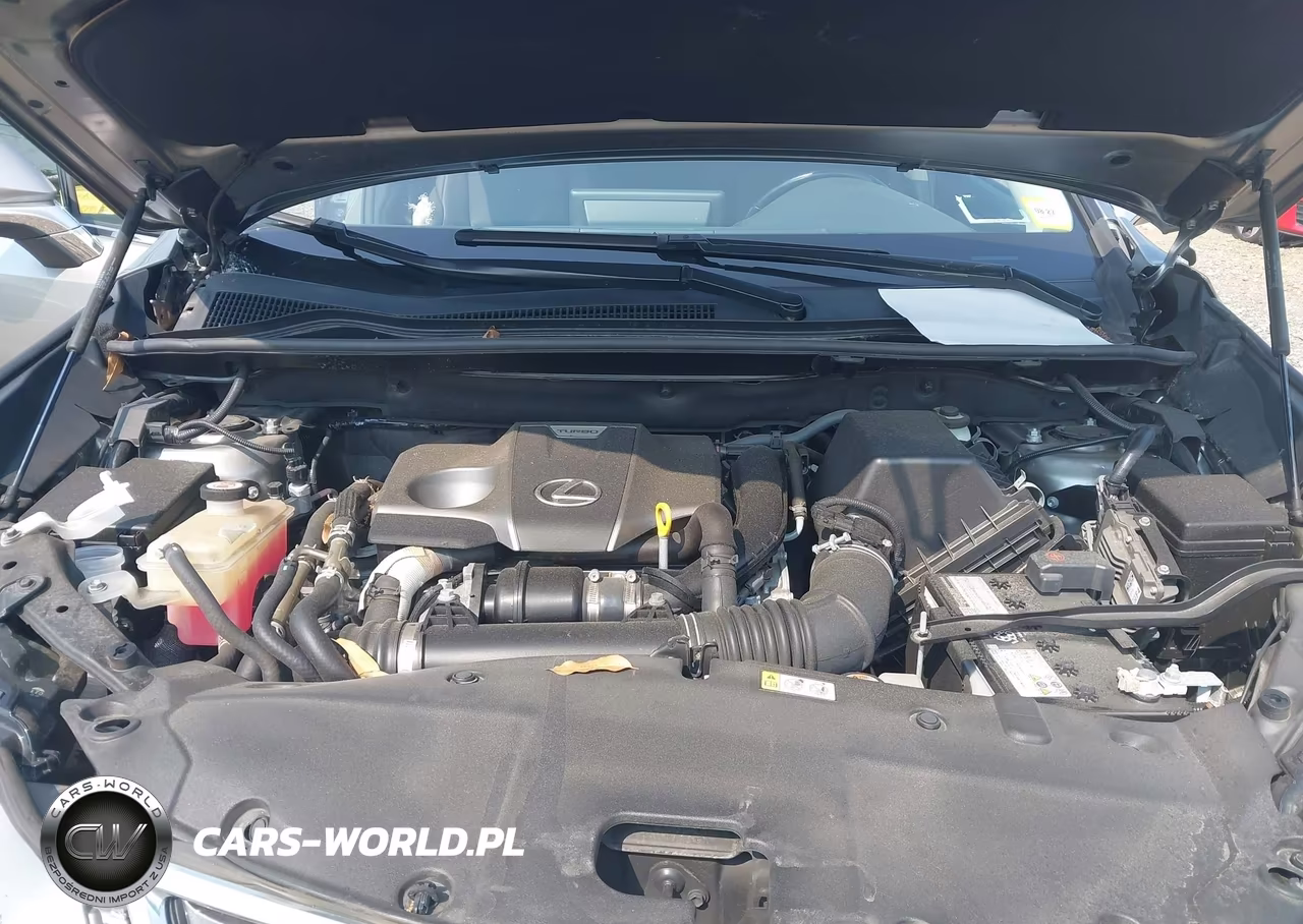 2021 Lexus Nx 300 VIN:JTJGARDZ3M5029670 - 10