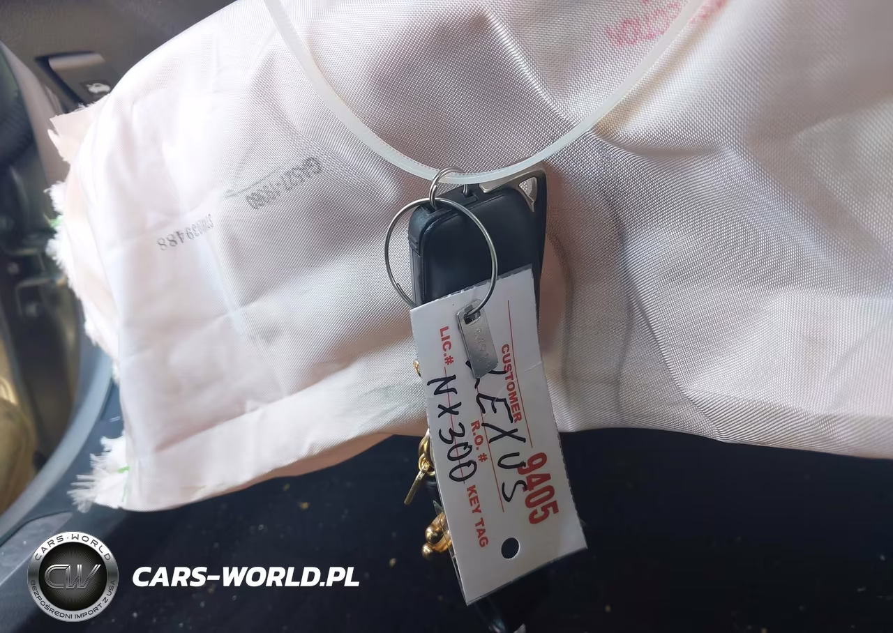 2021 Lexus Nx 300 VIN:JTJGARDZ3M5029670 - 11