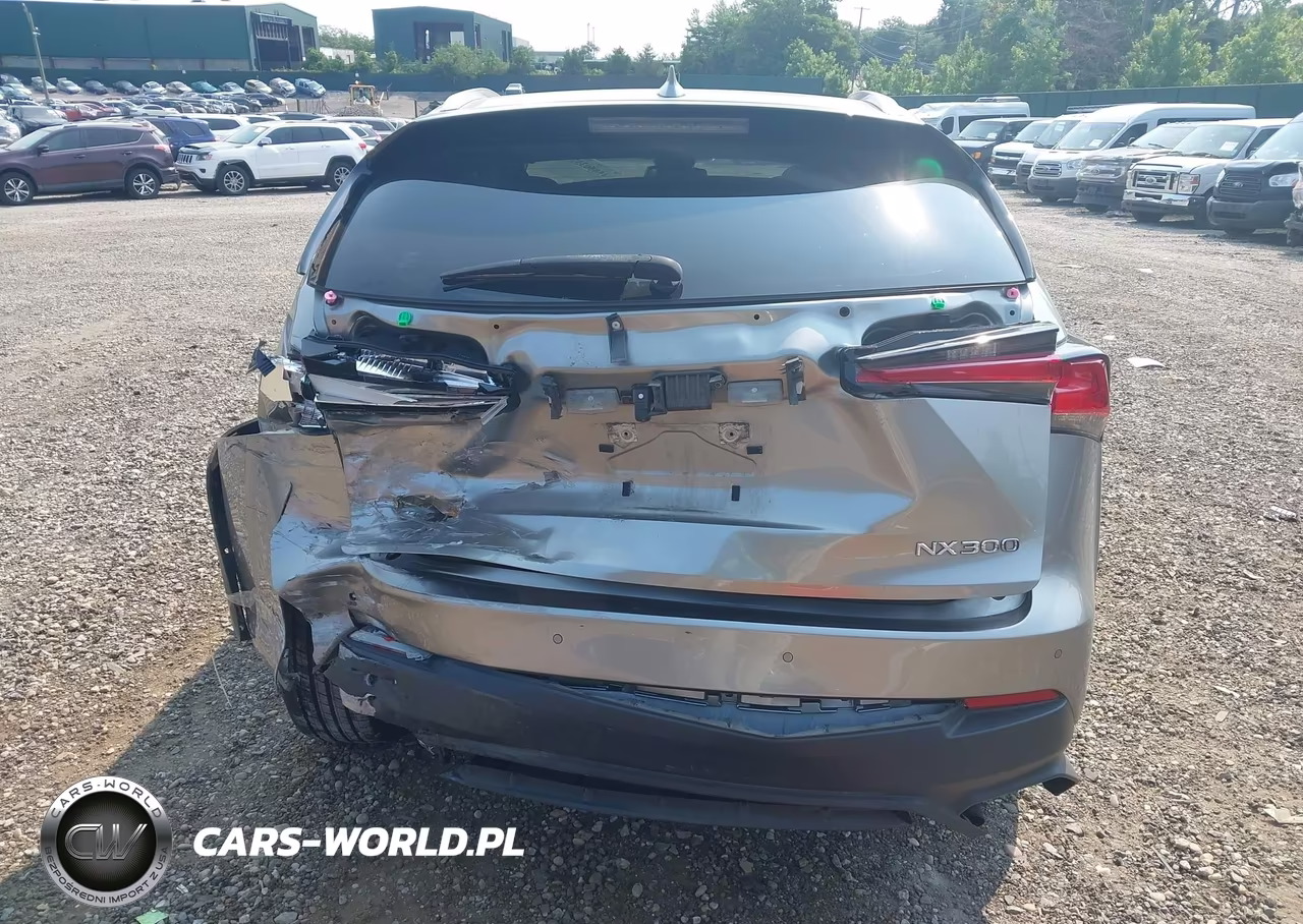 2021 Lexus Nx 300 VIN:JTJGARDZ3M5029670 - 17
