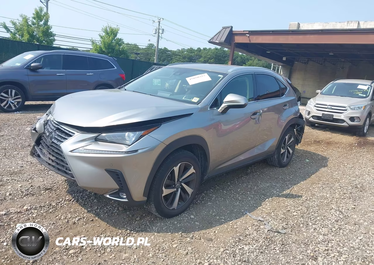 2021 Lexus Nx 300 VIN:JTJGARDZ3M5029670 - 2