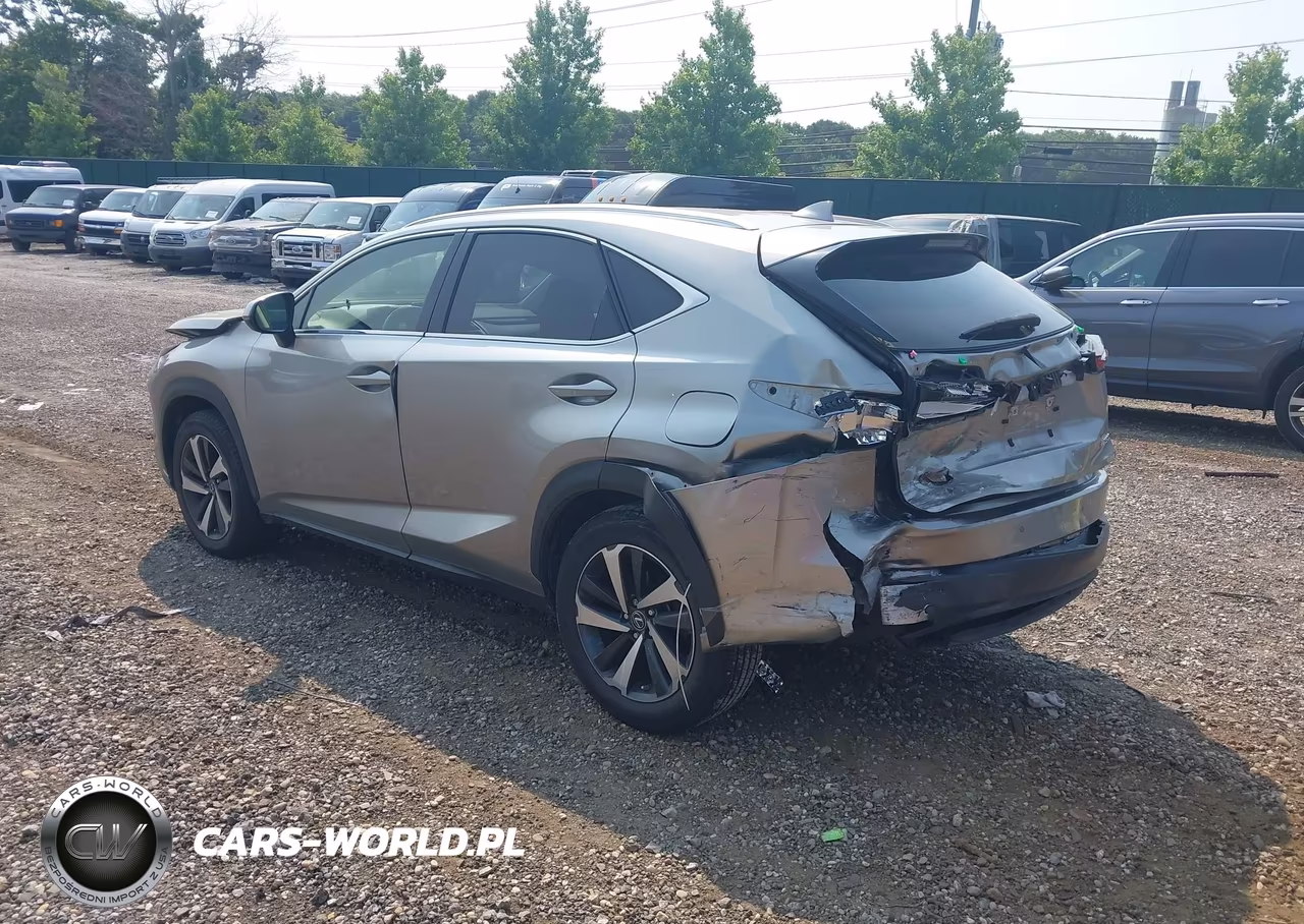 2021 Lexus Nx 300 VIN:JTJGARDZ3M5029670 - 3