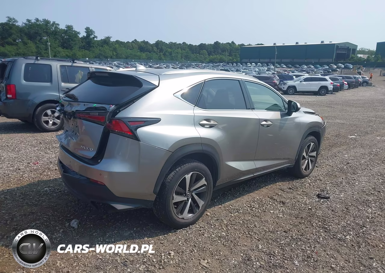 2021 Lexus Nx 300 VIN:JTJGARDZ3M5029670 - 4