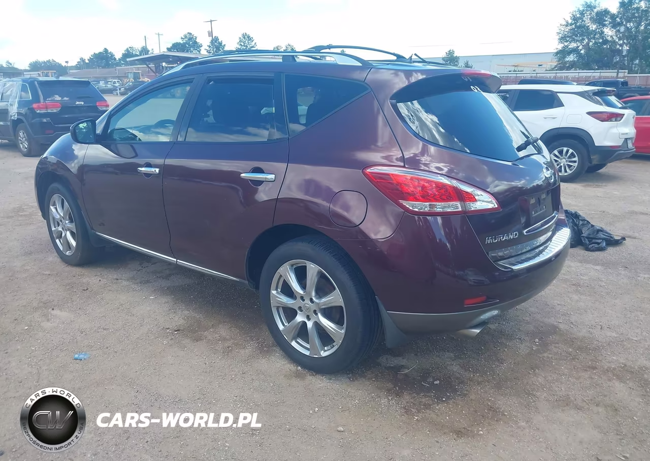 2013 Nissan Murano Le VIN:JN8AZ1MU1DW209798 - 3