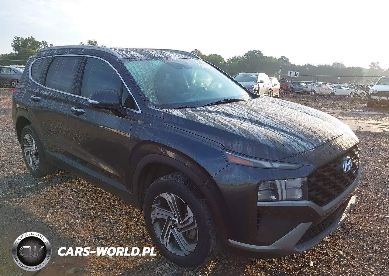 2023 Hyundai Santa Fe Sel VIN:5NMS2DAJ6PH518920 - 1
