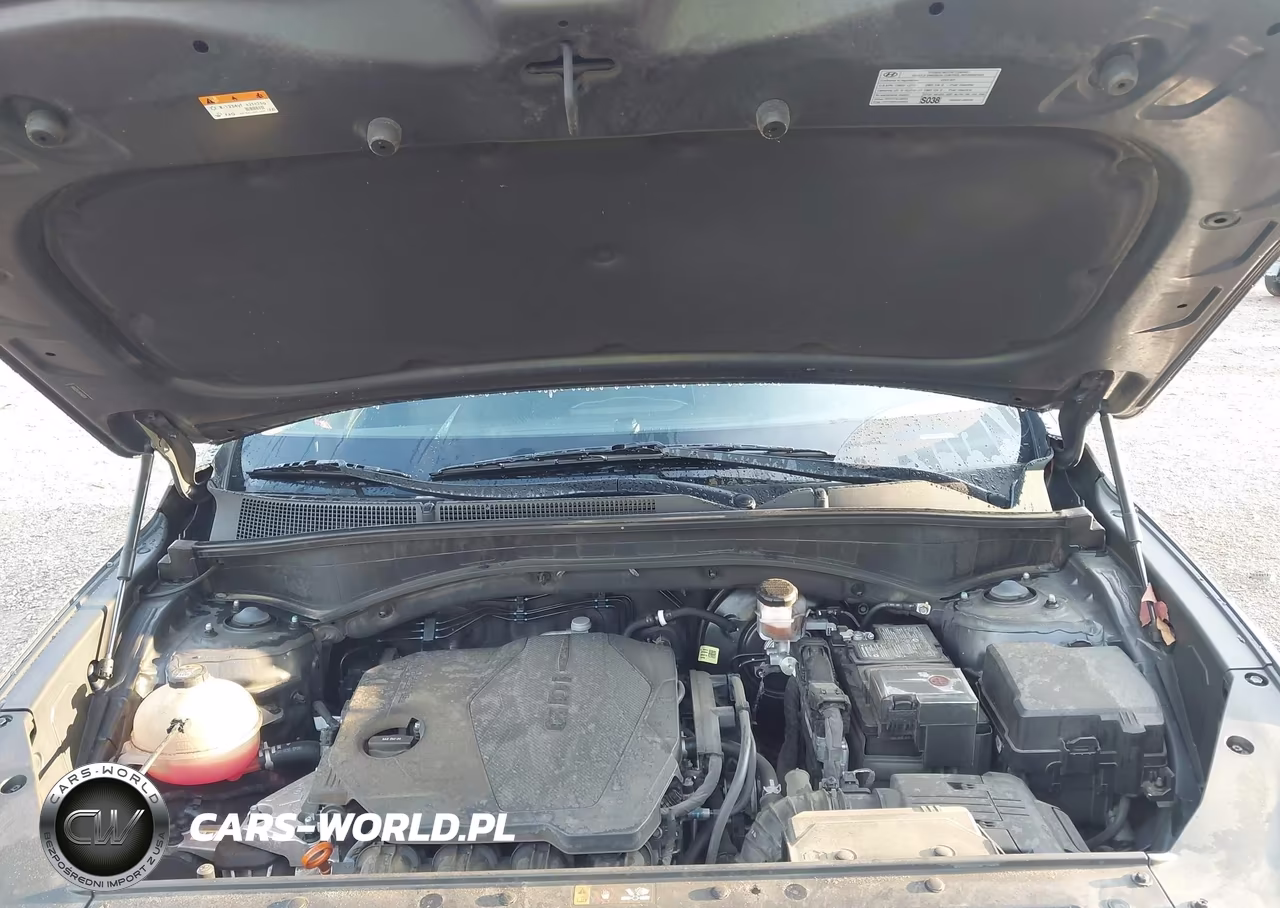 2023 Hyundai Santa Fe Sel VIN:5NMS2DAJ6PH518920 - 10