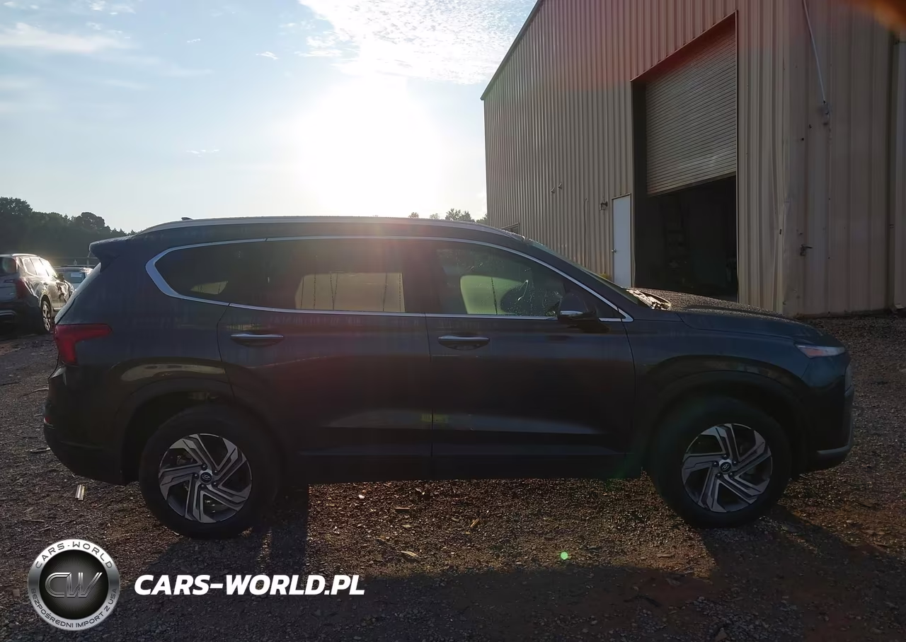 2023 Hyundai Santa Fe Sel VIN:5NMS2DAJ6PH518920 - 13