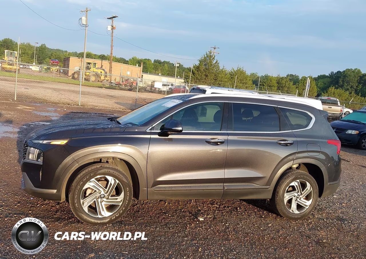 2023 Hyundai Santa Fe Sel VIN:5NMS2DAJ6PH518920 - 14