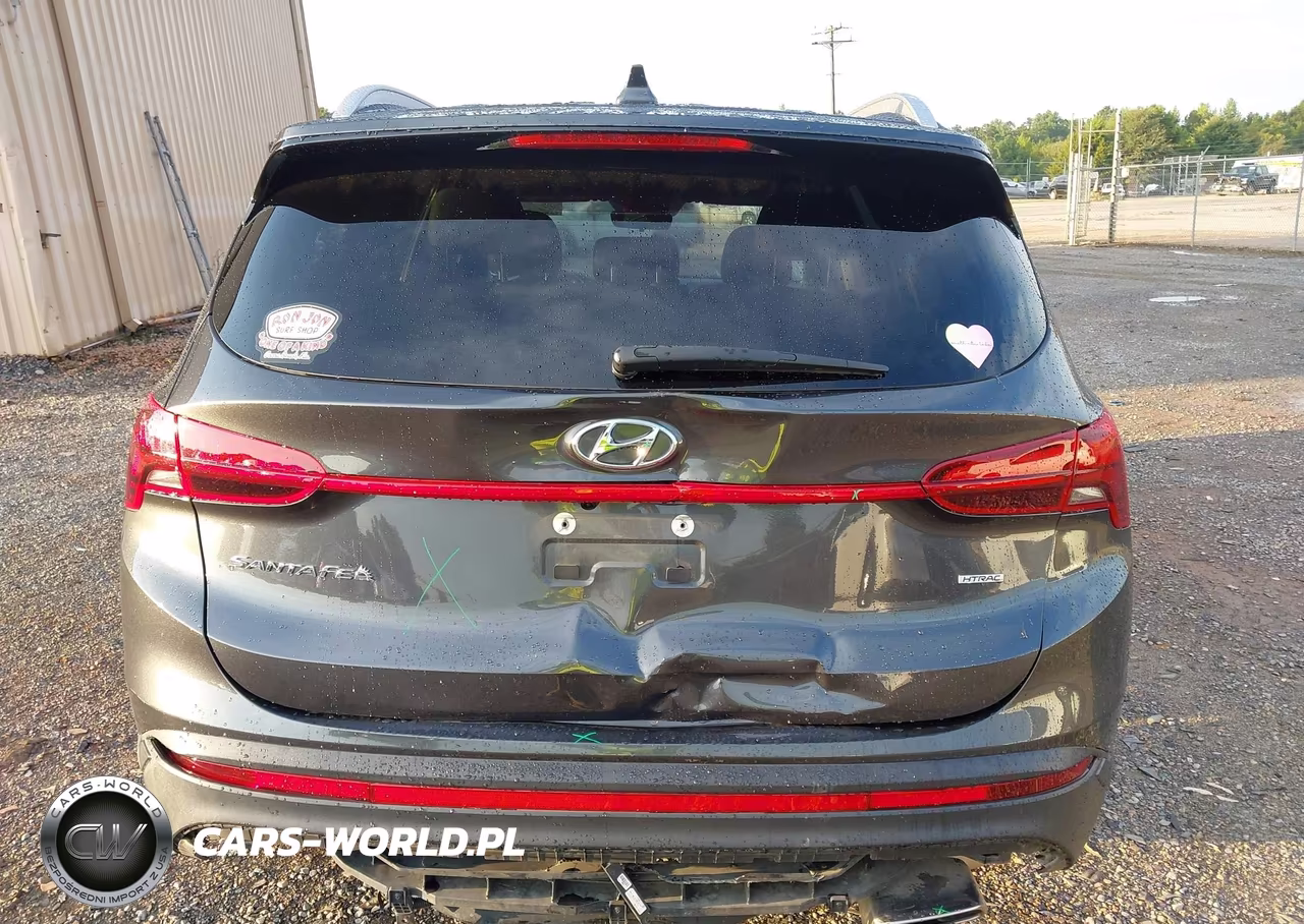 2023 Hyundai Santa Fe Sel VIN:5NMS2DAJ6PH518920 - 16