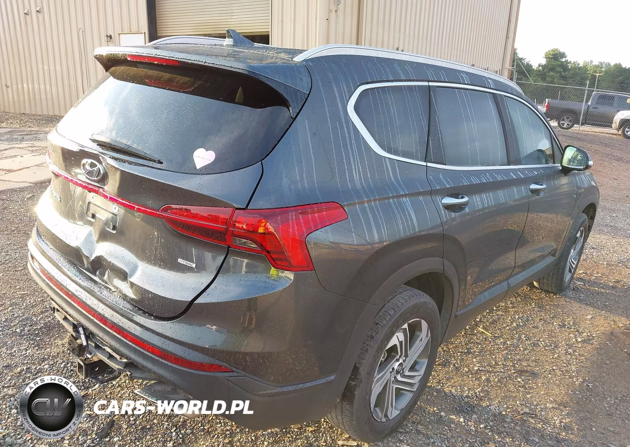 2023 Hyundai Santa Fe Sel VIN:5NMS2DAJ6PH518920 - 4