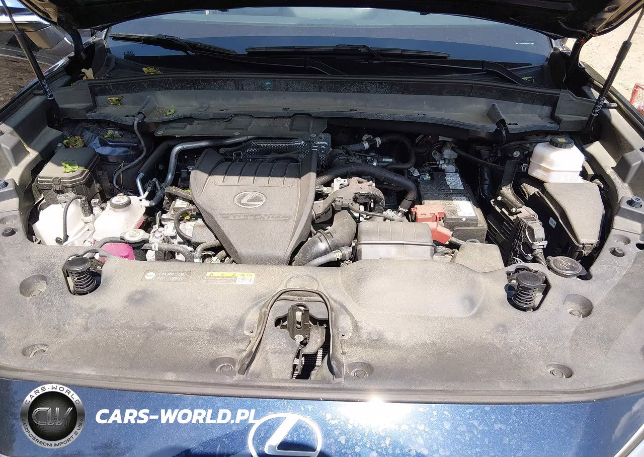 2024 Lexus Tx 350 Premium VIN:5TDAAAB60RS006822 - 10