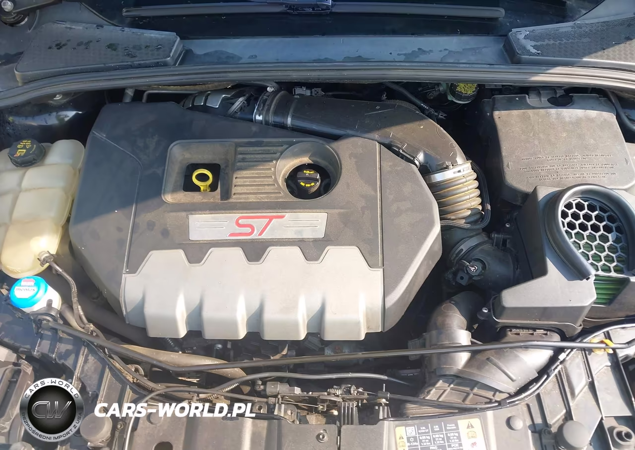 2016 Ford Focus St VIN:1FADP3L91GL335159 - 10