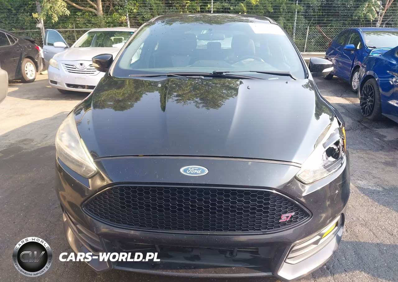 2016 Ford Focus St VIN:1FADP3L91GL335159 - 12