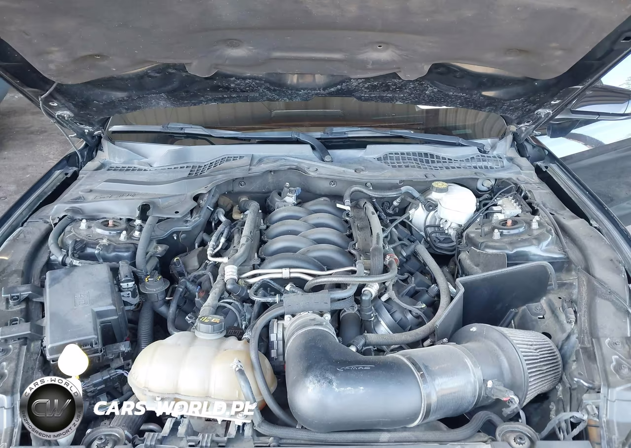 2019 Ford Mustang Gt VIN:1FA6P8CF1K5175101 - 10