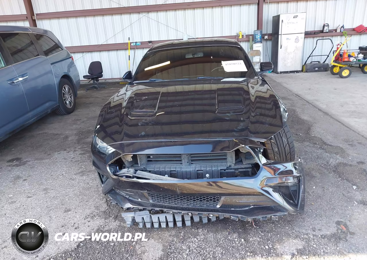 2019 Ford Mustang Gt VIN:1FA6P8CF1K5175101 - 12