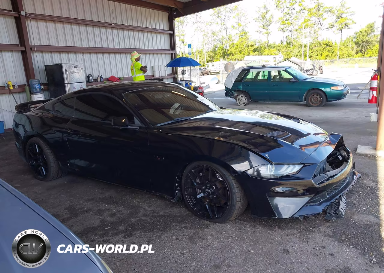 2019 Ford Mustang Gt VIN:1FA6P8CF1K5175101 - 13