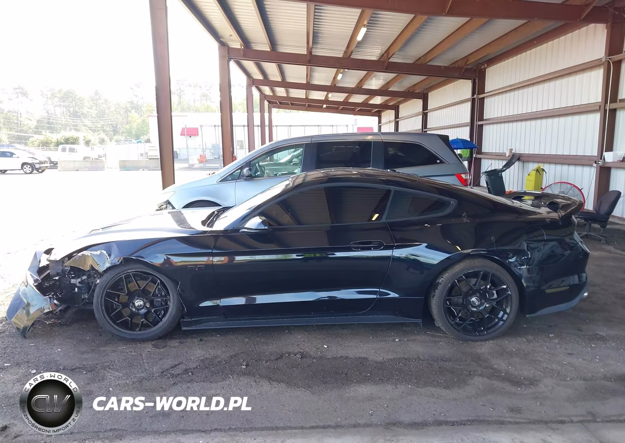 2019 Ford Mustang Gt VIN:1FA6P8CF1K5175101 - 14