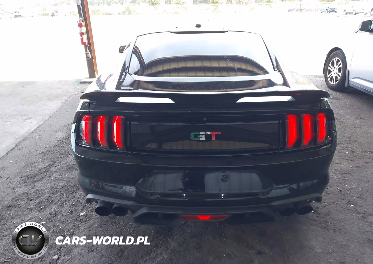 2019 Ford Mustang Gt VIN:1FA6P8CF1K5175101 - 16