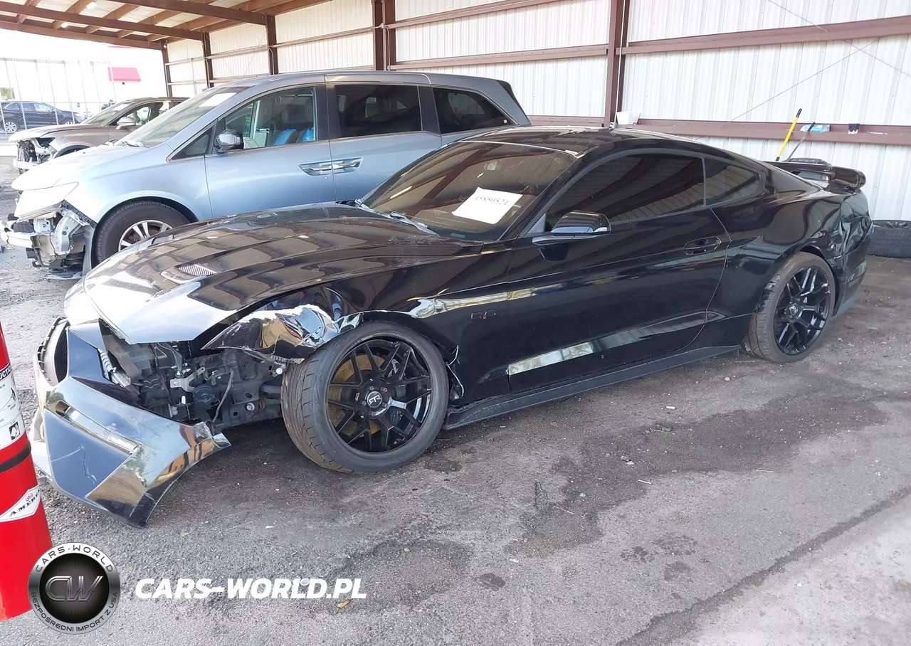 2019 Ford Mustang Gt VIN:1FA6P8CF1K5175101 - 2