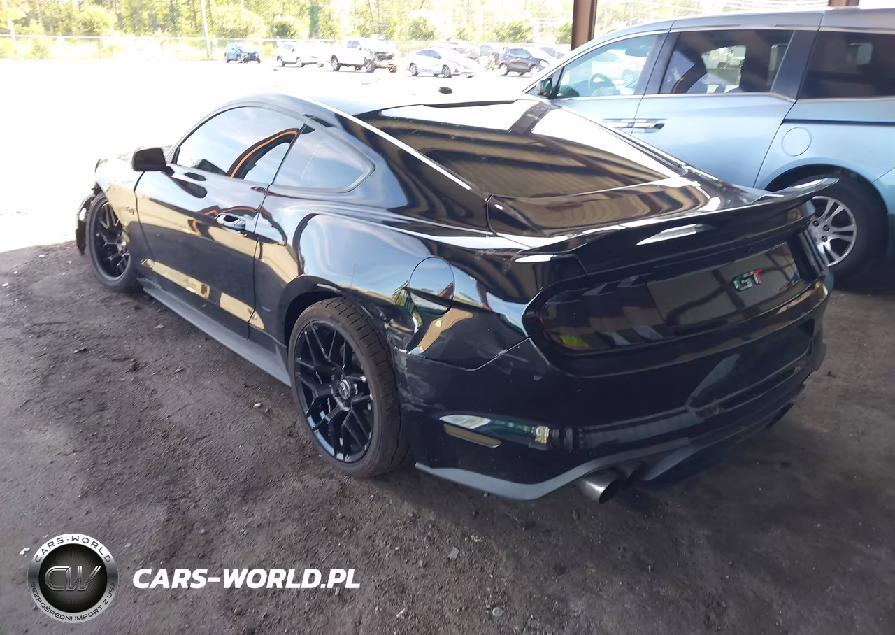 2019 Ford Mustang Gt VIN:1FA6P8CF1K5175101 - 3