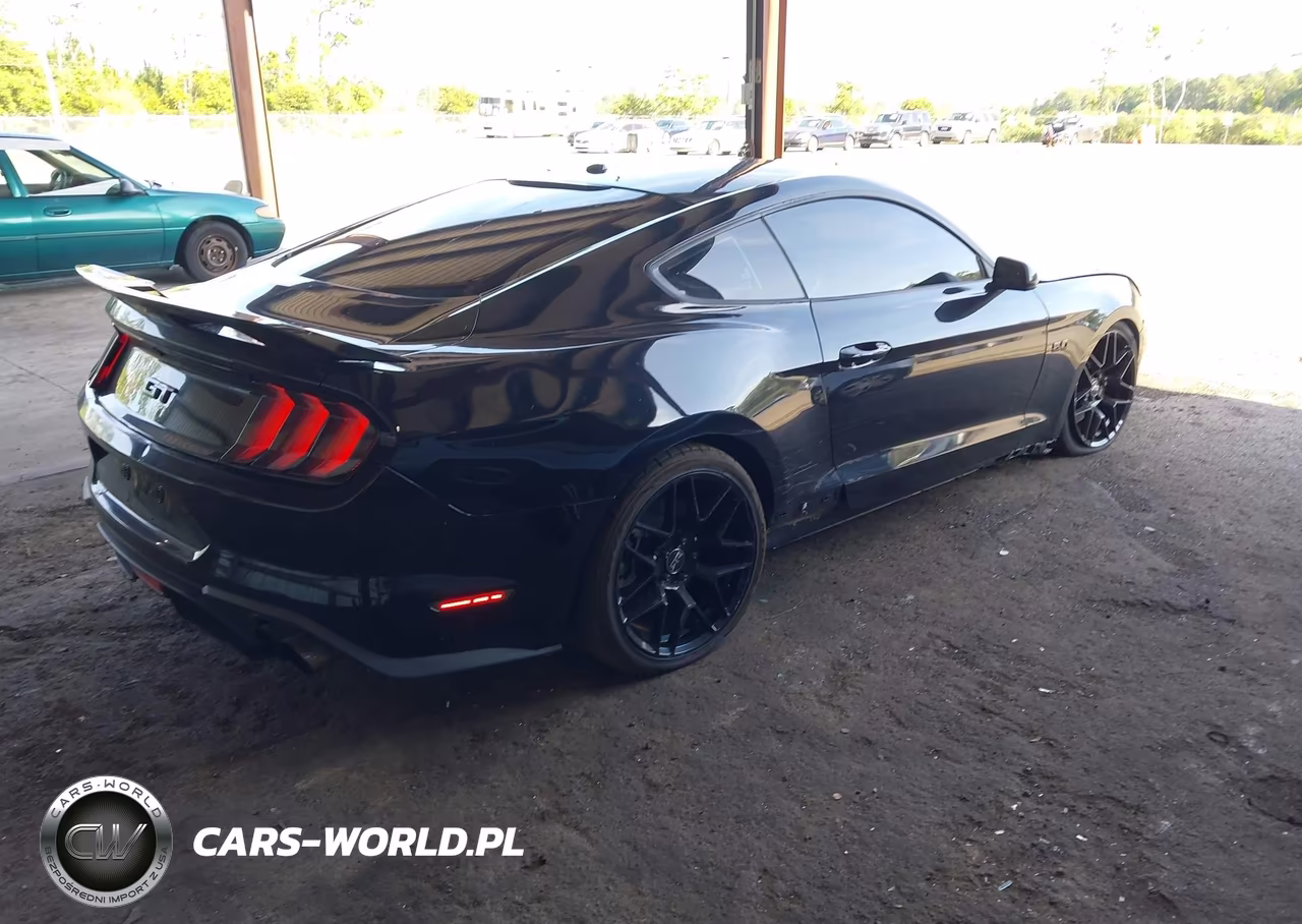 2019 Ford Mustang Gt VIN:1FA6P8CF1K5175101 - 4