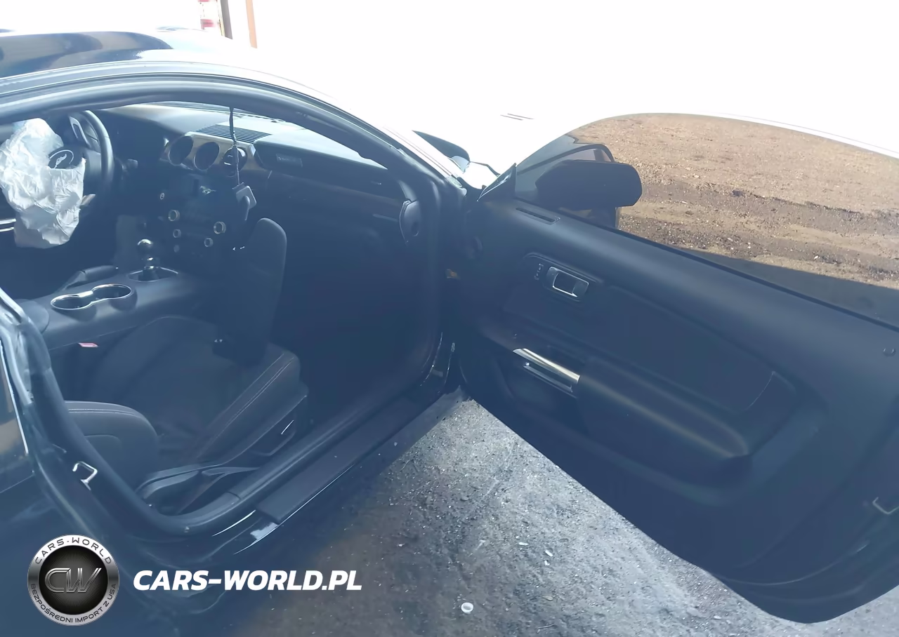 2019 Ford Mustang Gt VIN:1FA6P8CF1K5175101 - 5