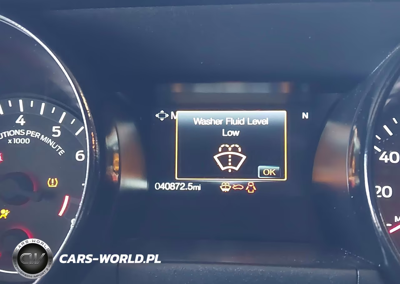 2019 Ford Mustang Gt VIN:1FA6P8CF1K5175101 - 7