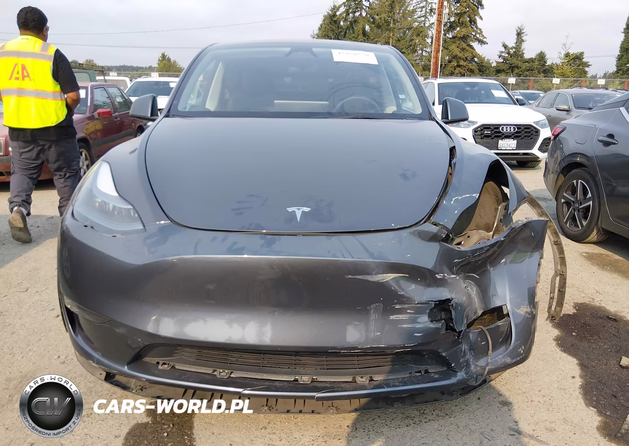 2023 Tesla Model Y Awd-Long Range Dual Motor All-Wheel Drive VIN:7SAYGDEE5PF960083 - 13