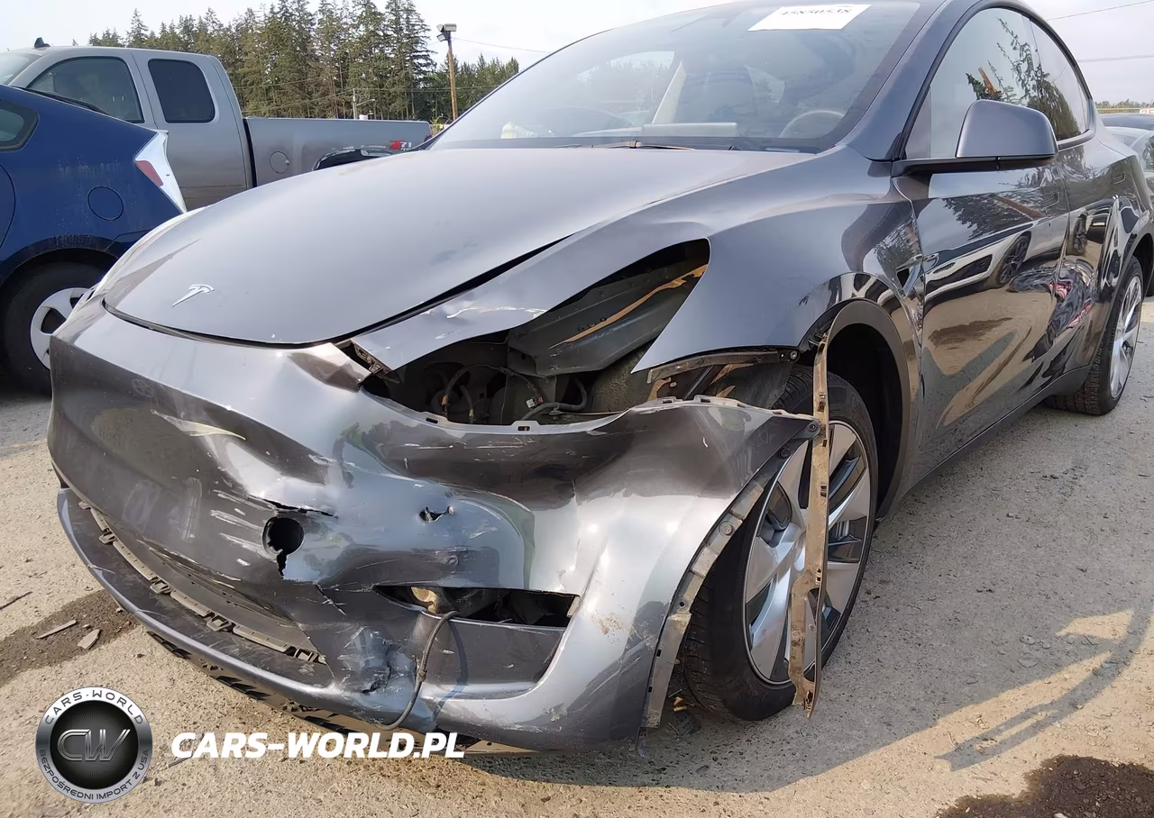 2023 Tesla Model Y Awd-Long Range Dual Motor All-Wheel Drive VIN:7SAYGDEE5PF960083 - 6