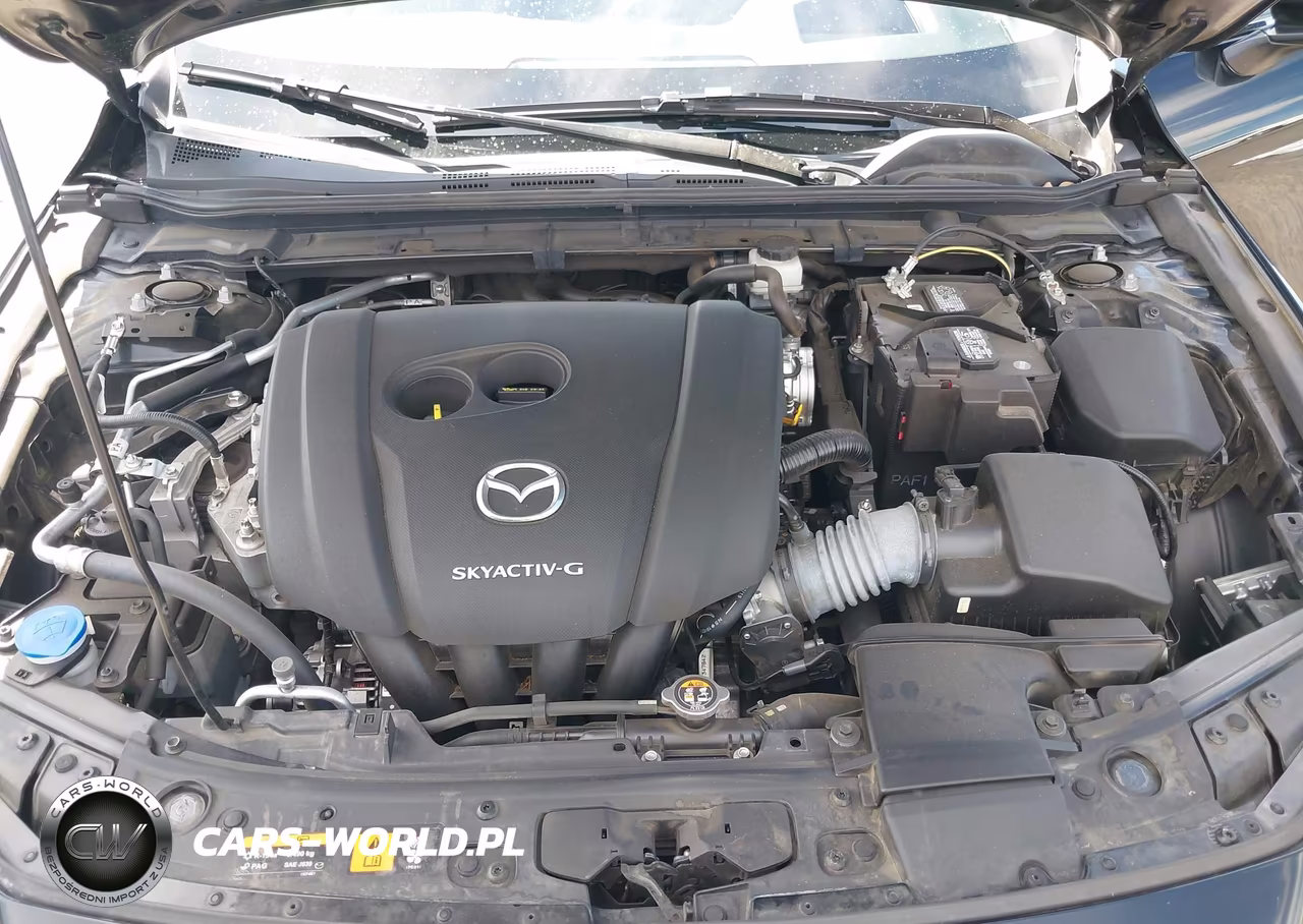 2019 Mazda Mazda3 Premium Package VIN:JM1BPANM5K1138622 - 10