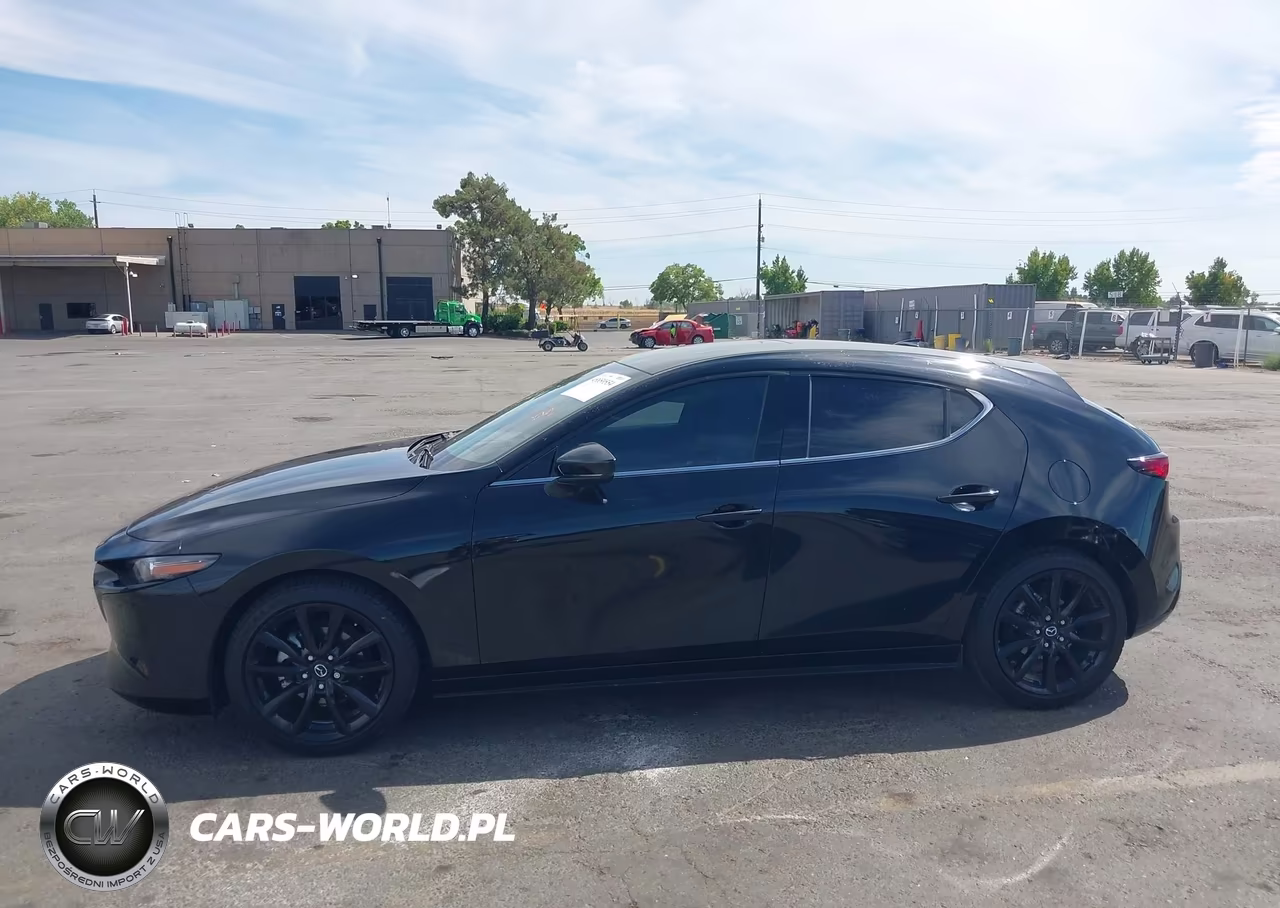 2019 Mazda Mazda3 Premium Package VIN:JM1BPANM5K1138622 - 14