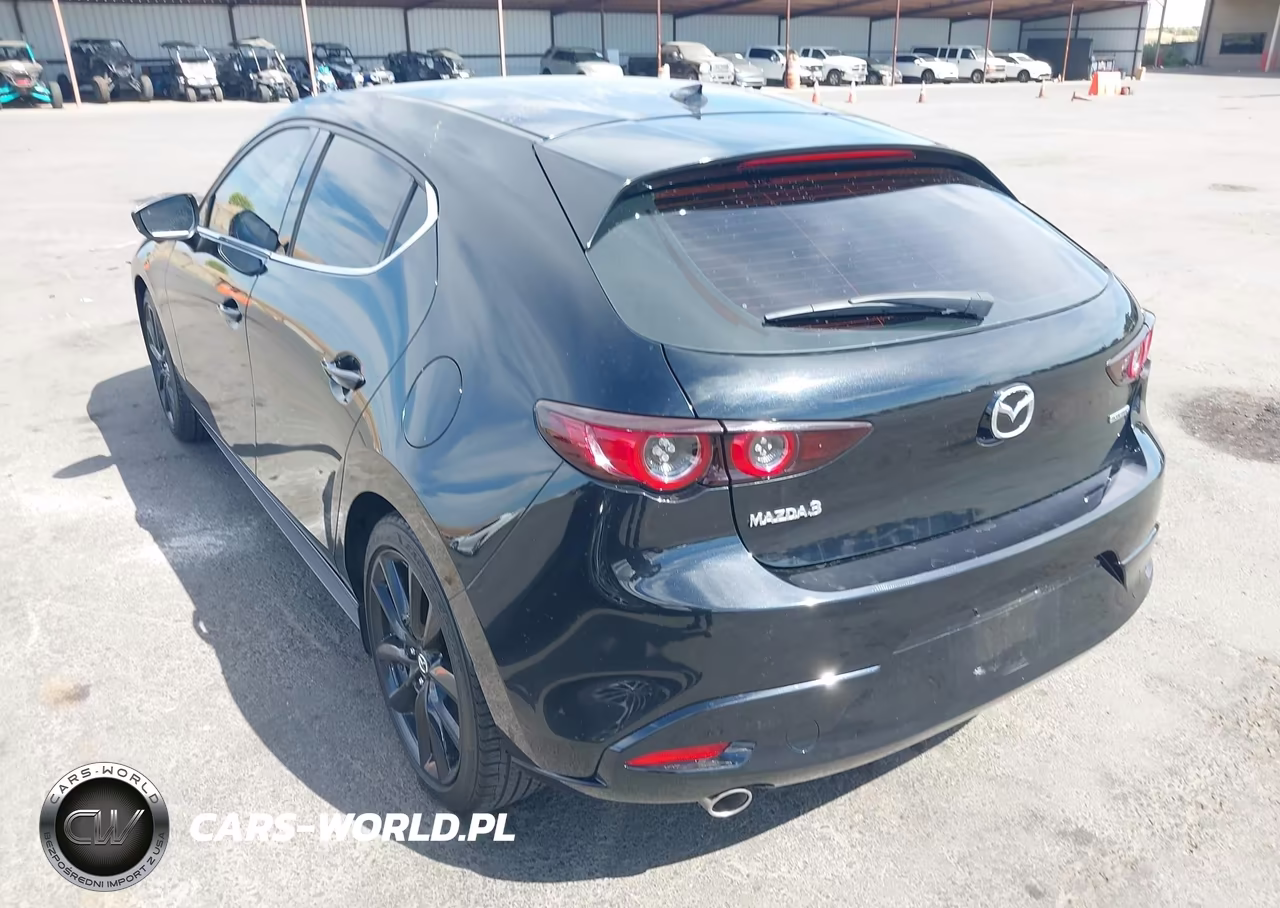 2019 Mazda Mazda3 Premium Package VIN:JM1BPANM5K1138622 - 3