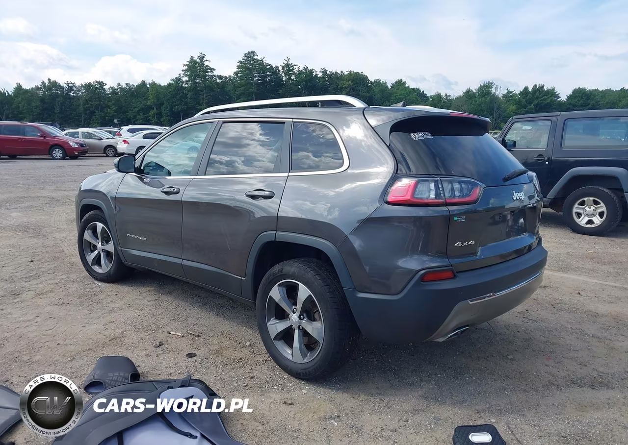 2019 Jeep Cherokee Limited 4X4 VIN:1C4PJMDX6KD359598 - 3