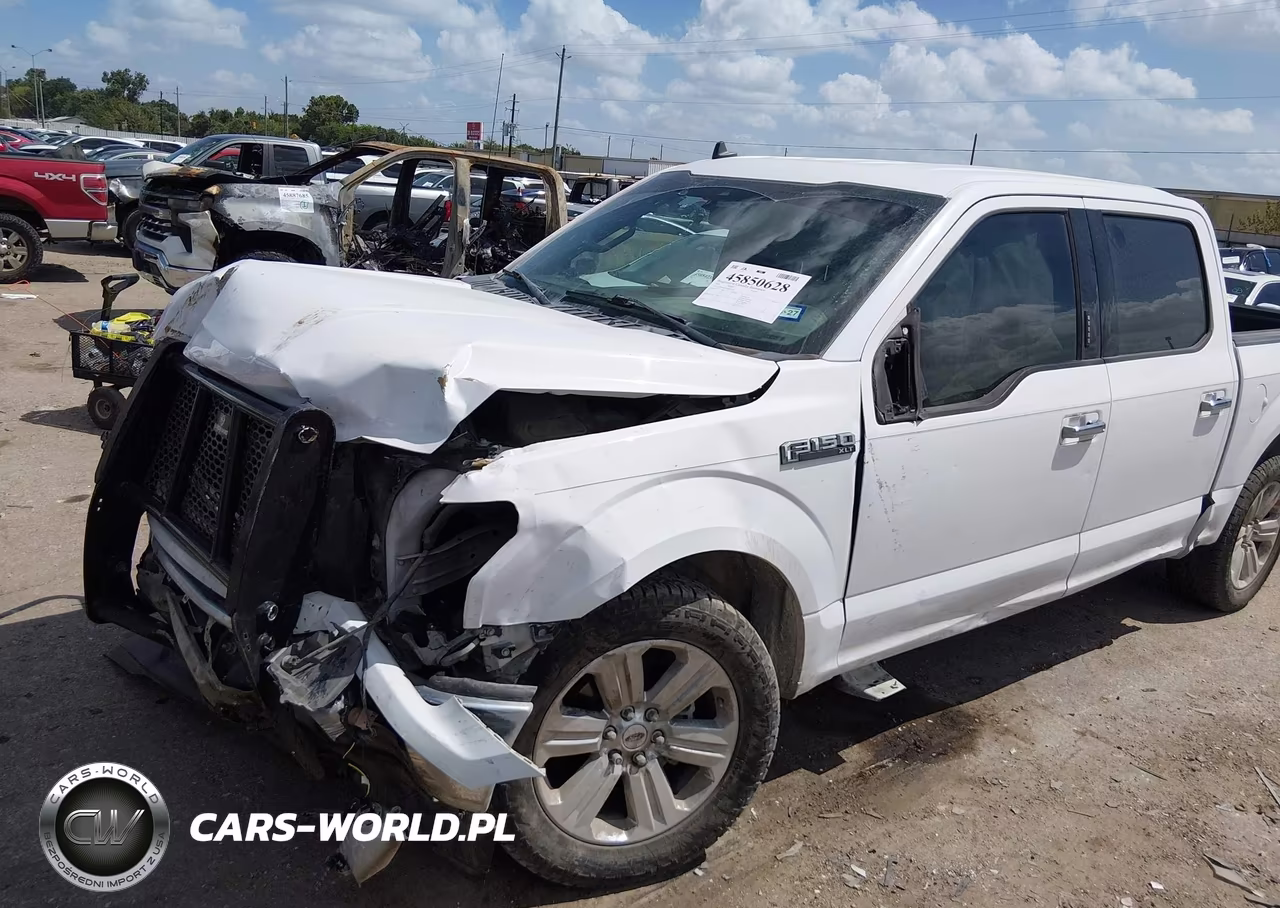2019 Ford F-150 Xlt VIN:1FTEW1CP3KKD12355 - 17